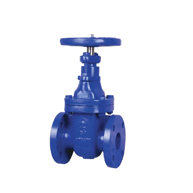 cast iron valve