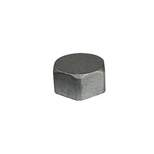 Malleable Iron Pipe Fittings-cap