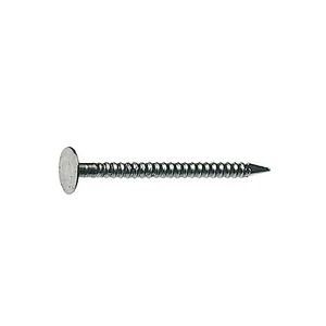 clout nail with overlarge head