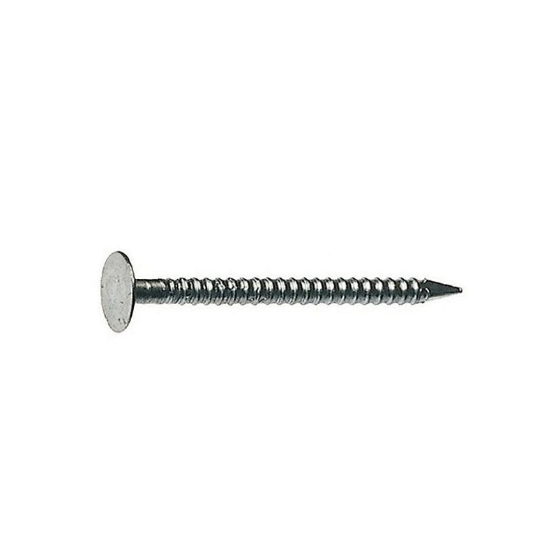 clout nail with overlarge head
