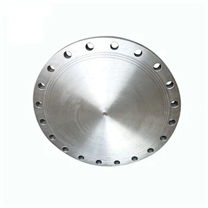 Blind flange