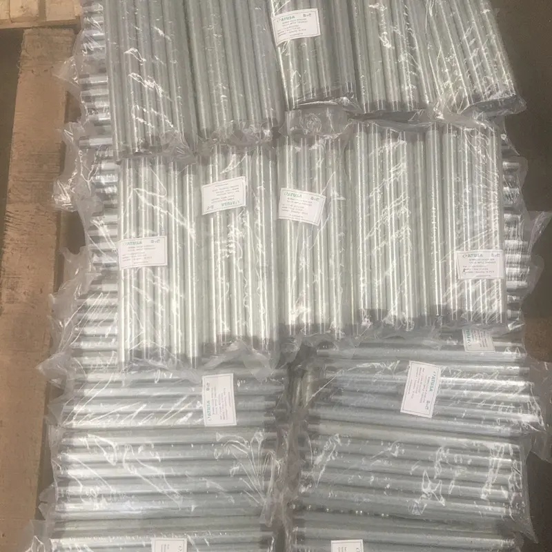 BS DIN EN ASTM Carbon Steel Fittings Pipe lengthen Nipples Hot dipped galvanized and Black