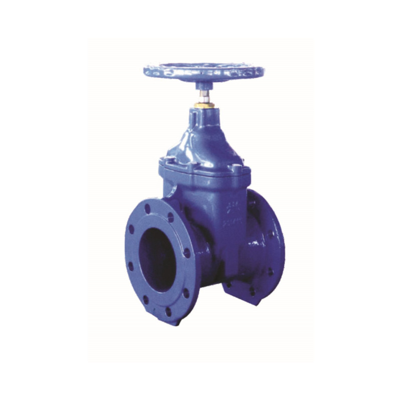 cast iron valve