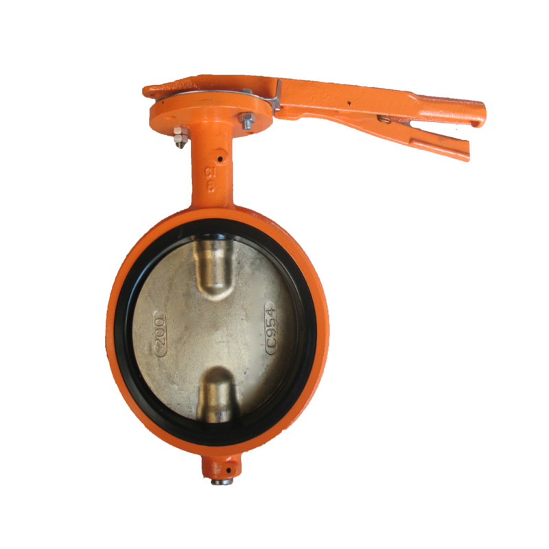 WAFER TYPE BUTTERFLY VALVE-DOUBLE STEM WITHOUT PIN (4)