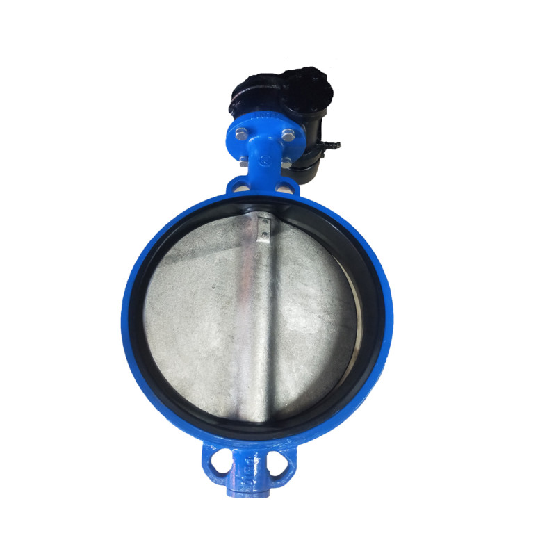 WAFER TYPE BUTTERFLY VALVE-DOUBLE STEM WITHOUT PIN (3)