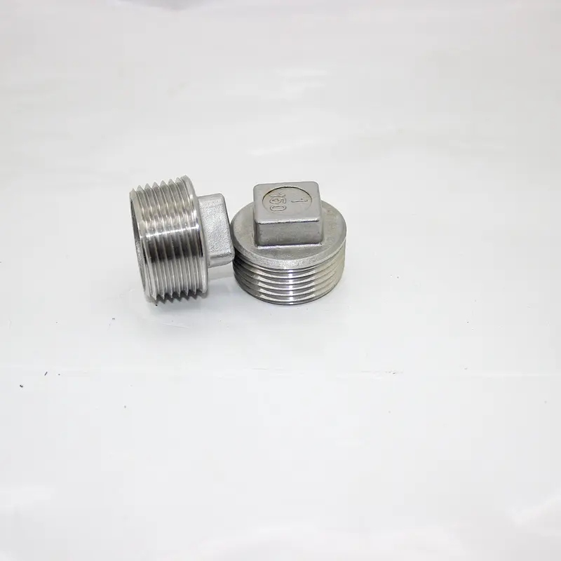 SS304/316 Stainless Steel Male Threaded Plug Pipe Fittings