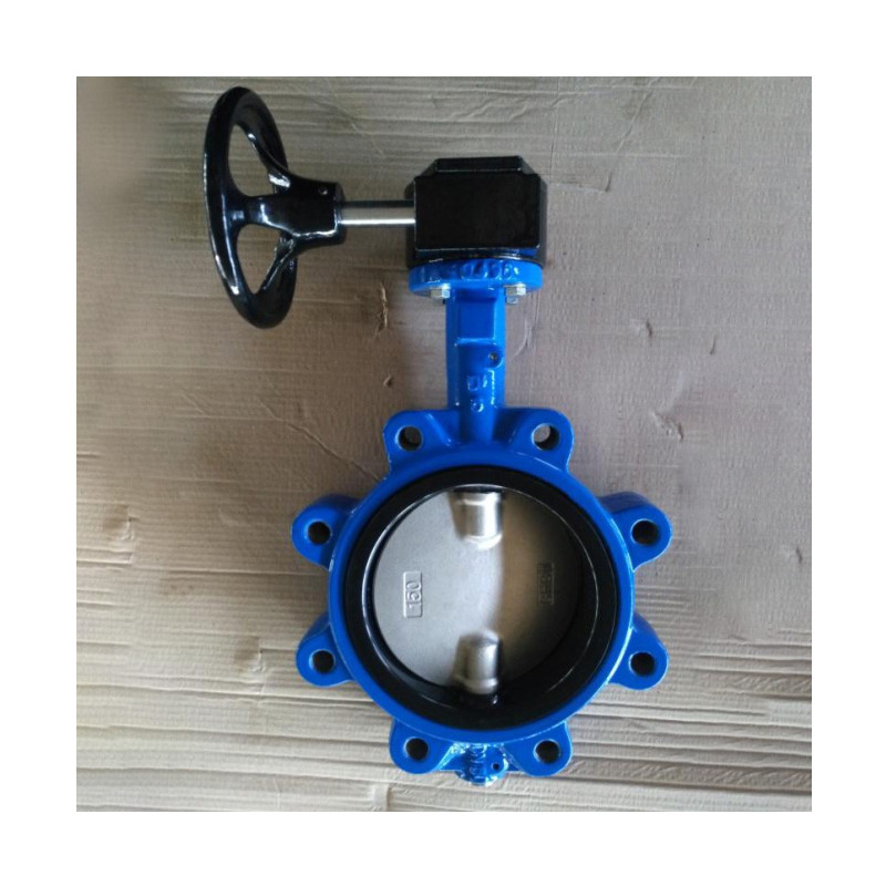 LUG TYPE BUTTERFLY VALVE-DOUBLE STEM WITHOUT PIN (1)