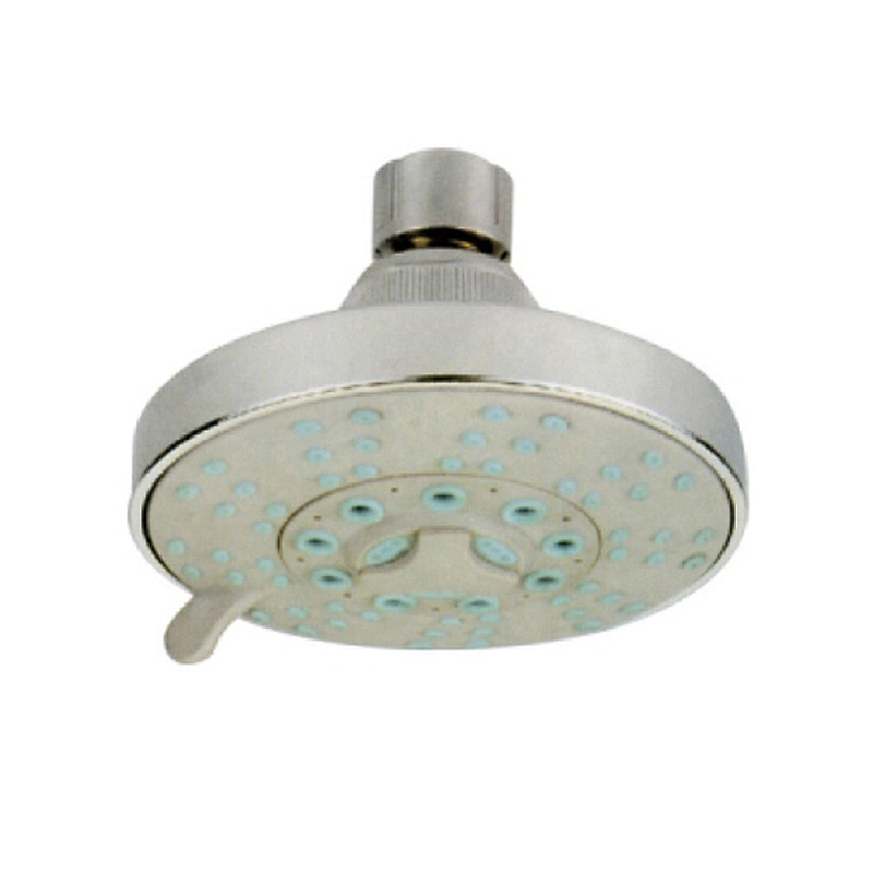 Multifunctional shower head