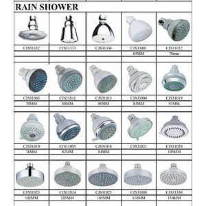 Multifunctional shower head