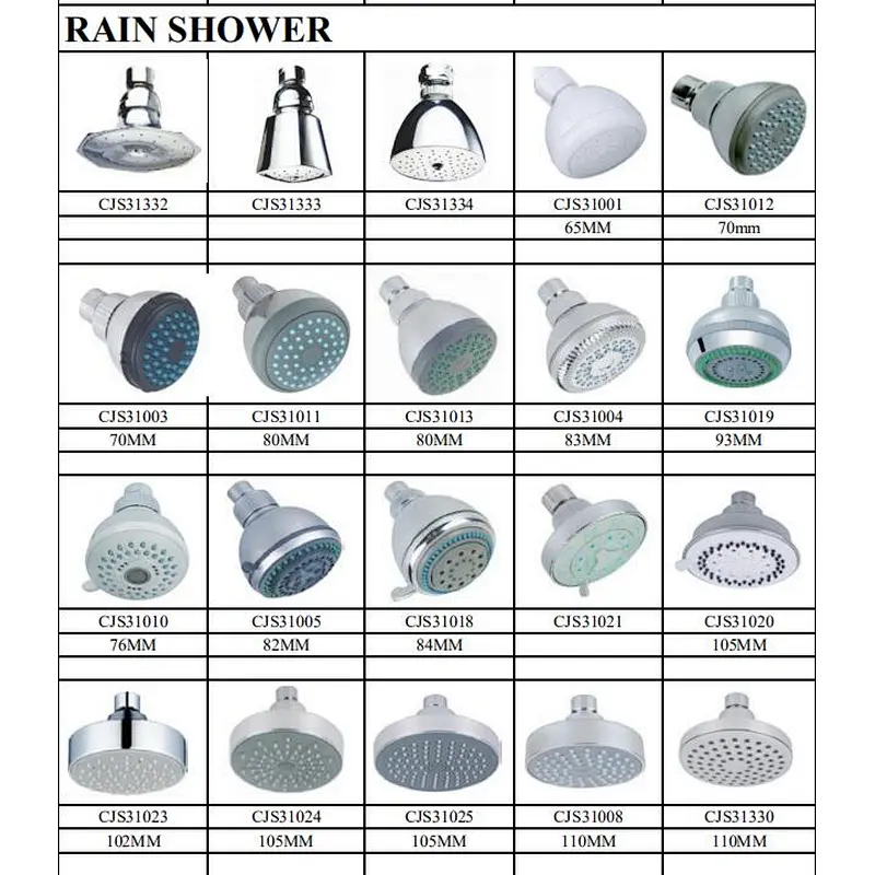 Multifunctional shower head