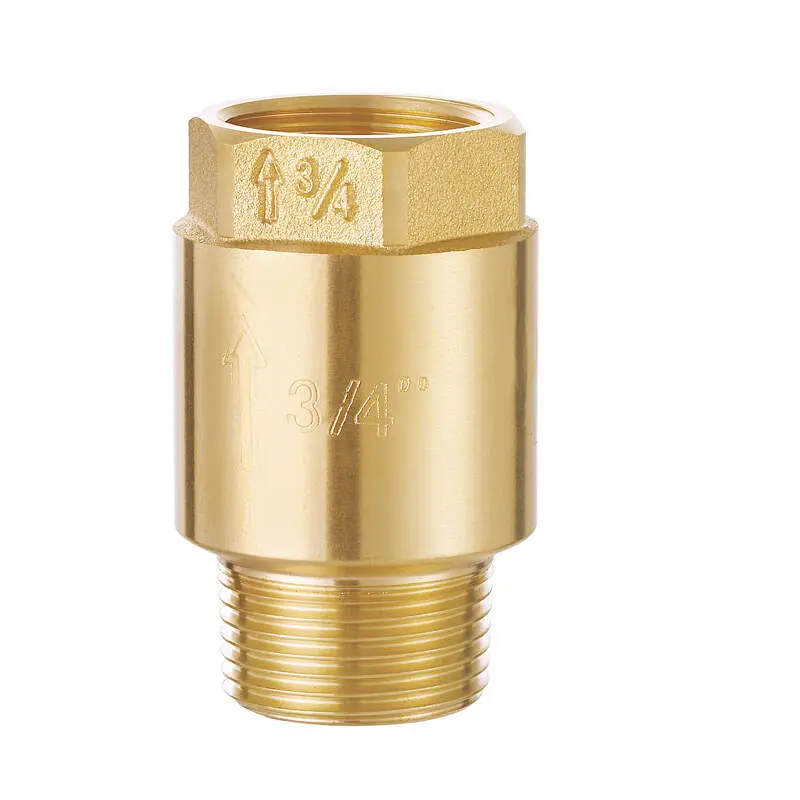 BRASS SPRING CHECK VALVE WITH PLASTIC DISC