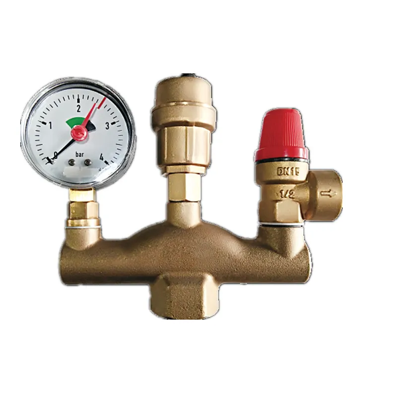 ASFTY VALVE AND AIR VENT VALVE  SET