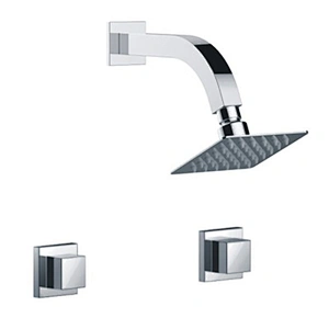 DUAL HANDLE SHOWER