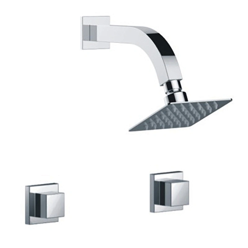 DUAL HANDLE SHOWER