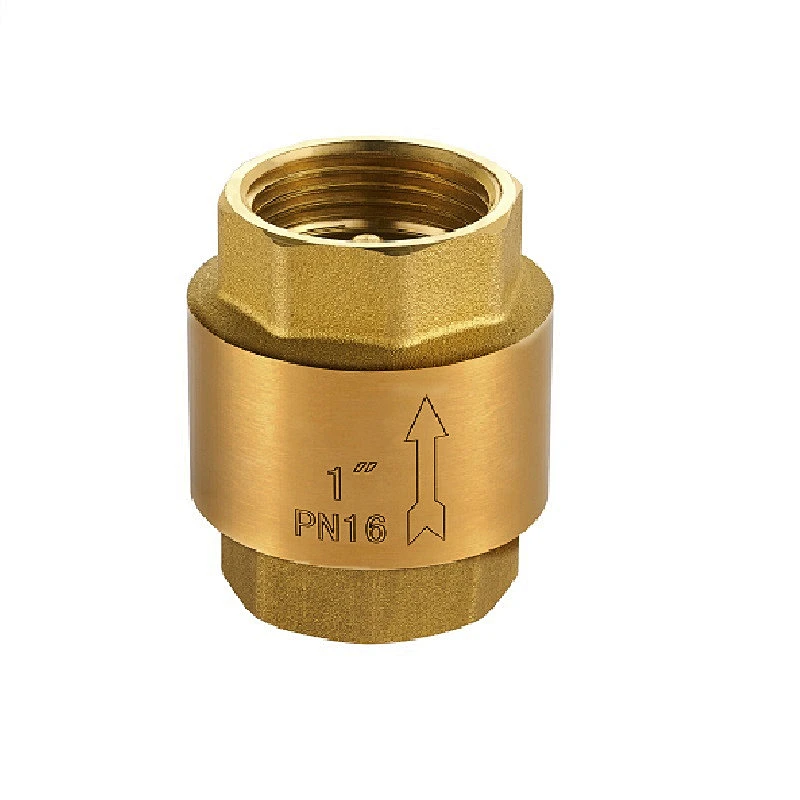 CHECK VALVE WITH BRASS IN SET