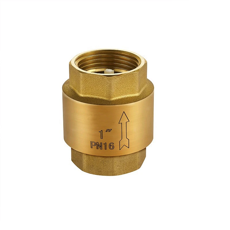 CHECK VALVE WITH PLASTIC INSET