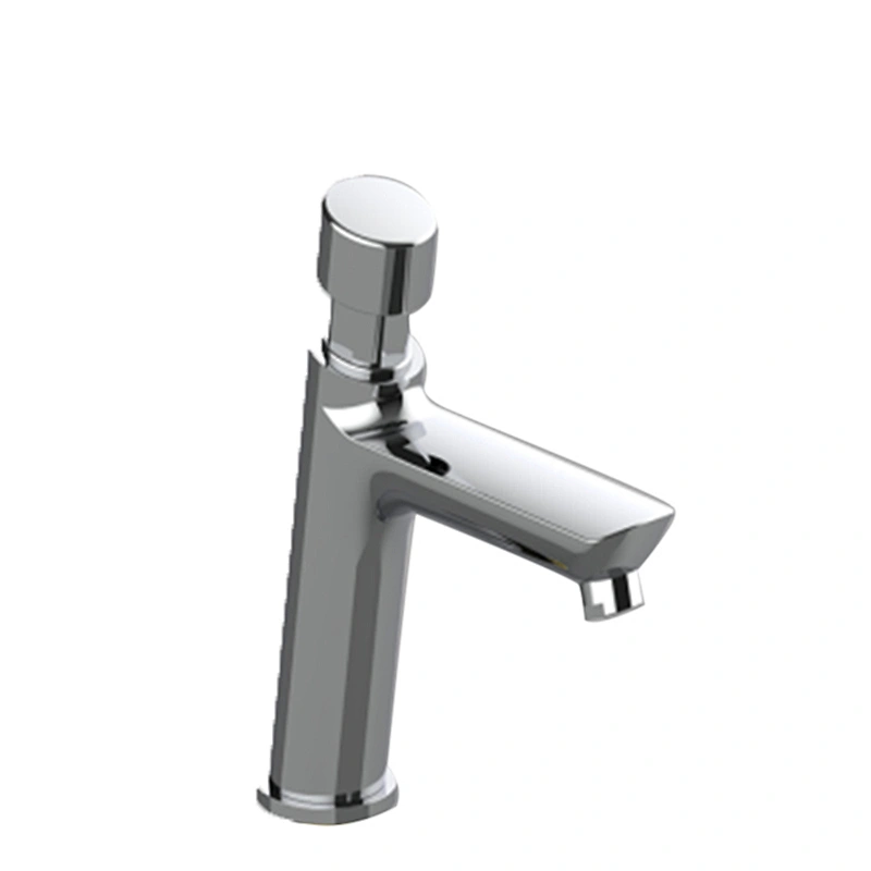 TIME DELAY FAUCET