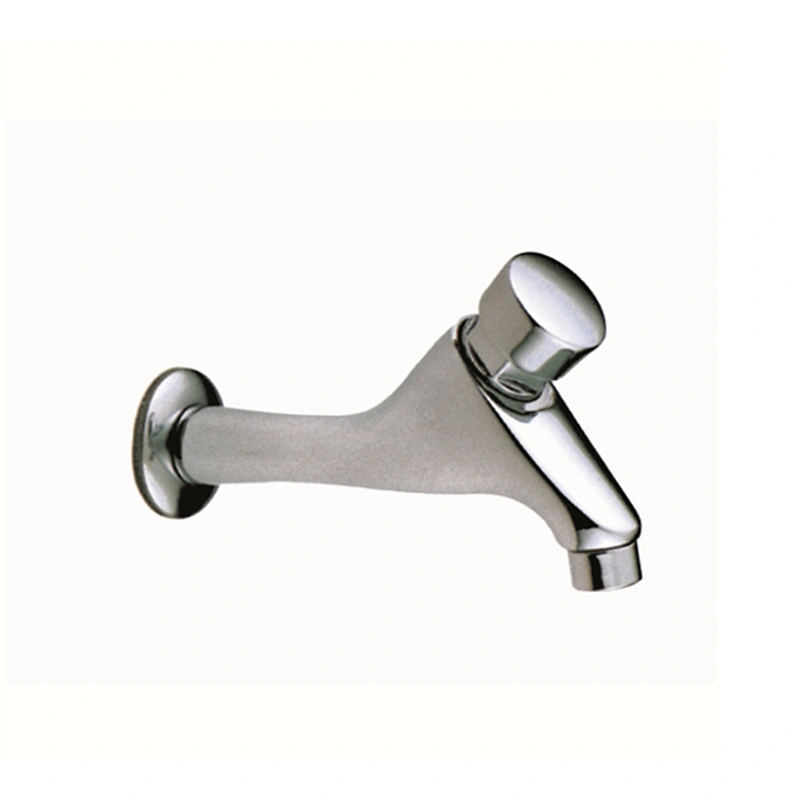 TIME DELAY FAUCET