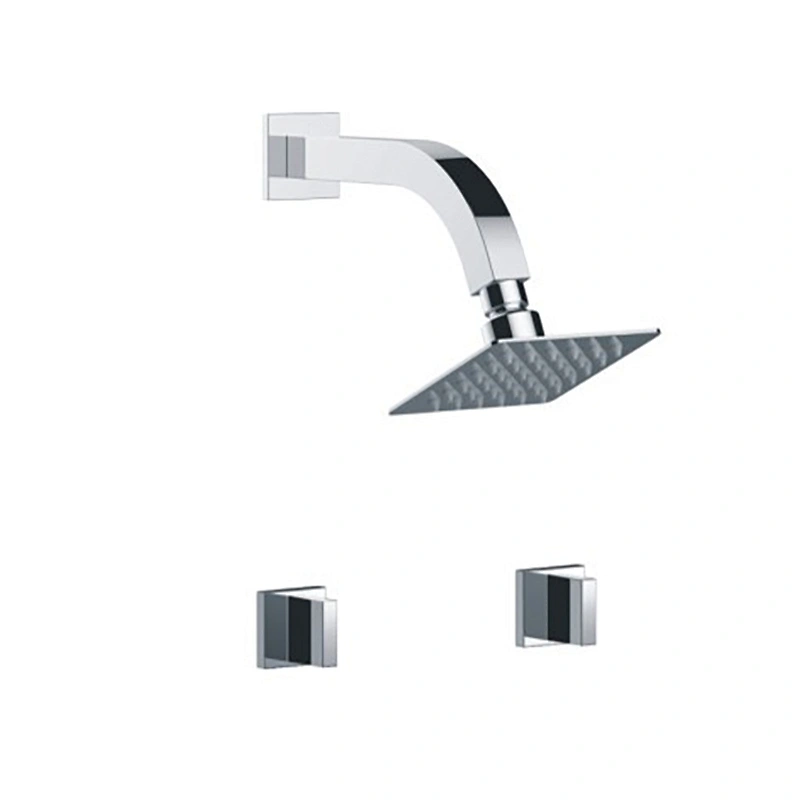 DUAL HANDLE SHOWER