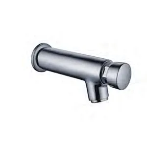 Time delay Faucet