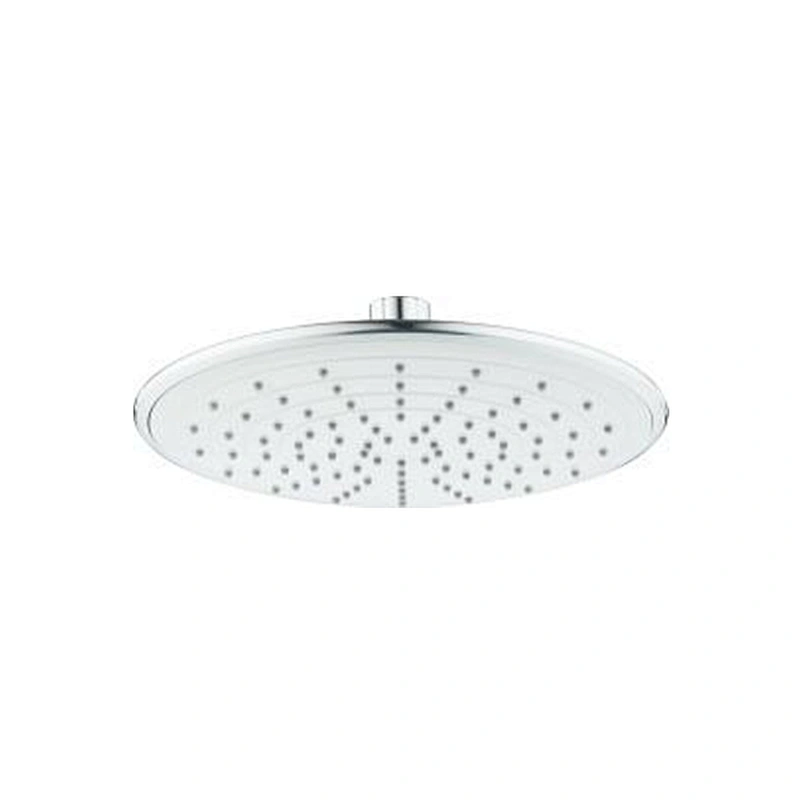 OVERHEAD SHOWER RAIN SHOWER SHOWER HEAD