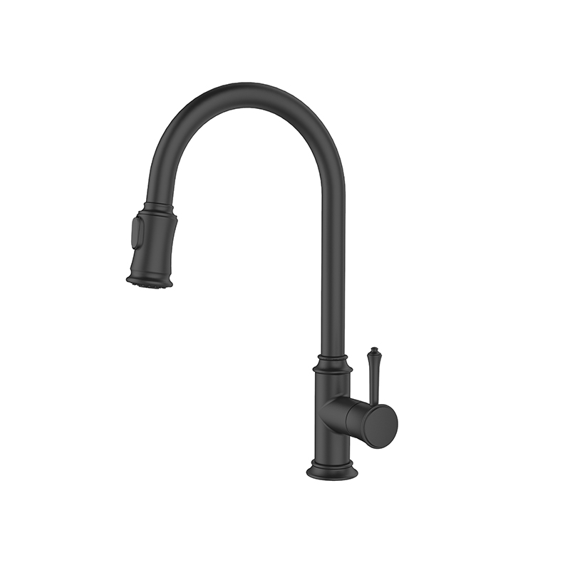KITCHEN FAUCET