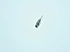 Fuji Grease Gun Nozzle With Perfect Quality