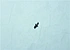 nozzle with