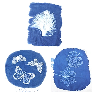 Blue Dye Cyanotype