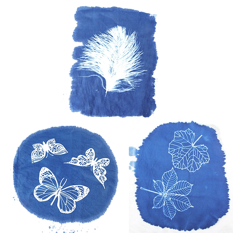 Blue Dye Cyanotype