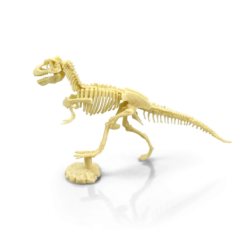 dig dinosaur kit