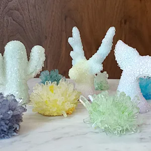 cactus crystal growing kit