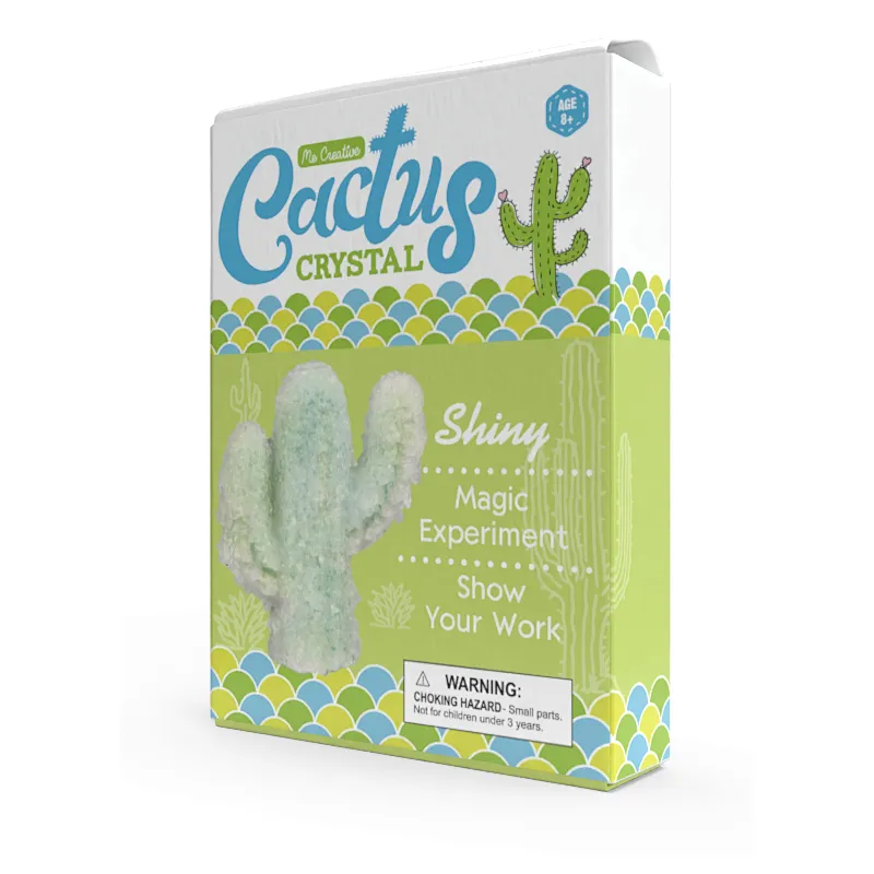 cactus crystal growing kit