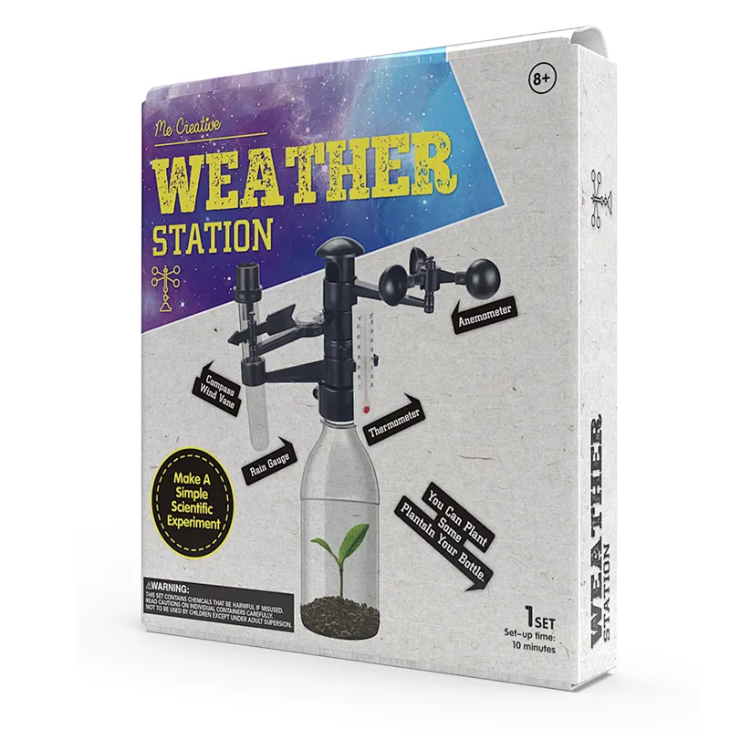 weather station DIY kit
