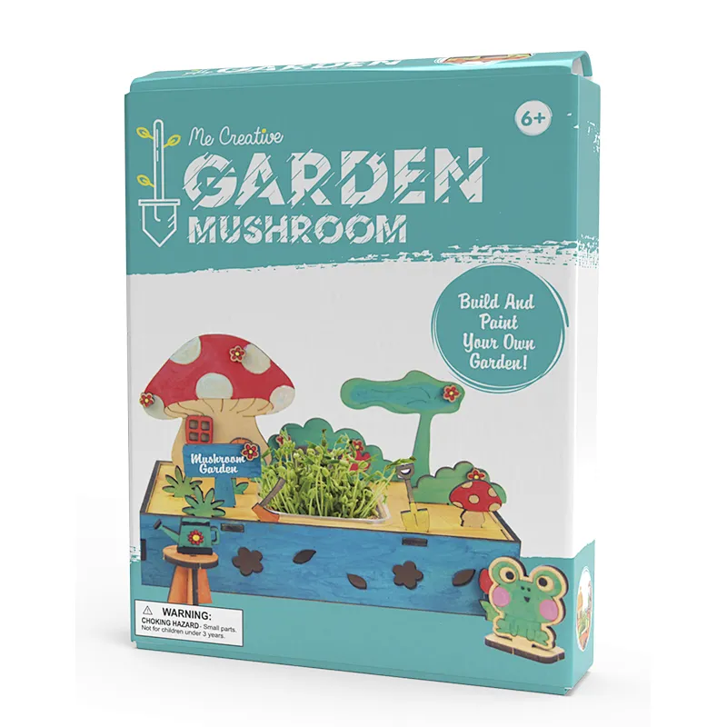 create & paint mushroom