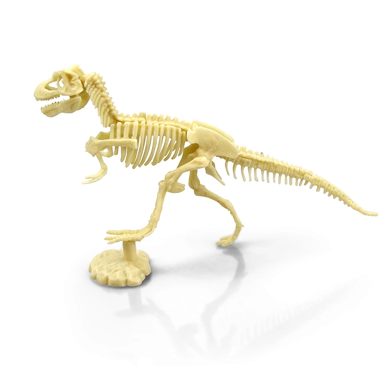 Dinosaur Fossil Dig Kit