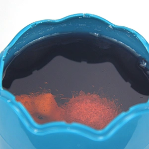 Crystal Growing Kit