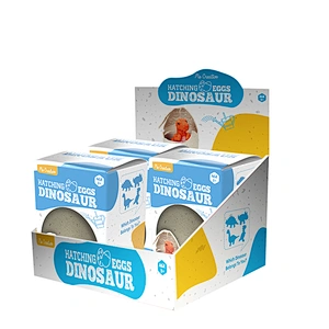 hatching dinosaur eggs