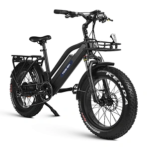 E-Bikes (FB-B1)