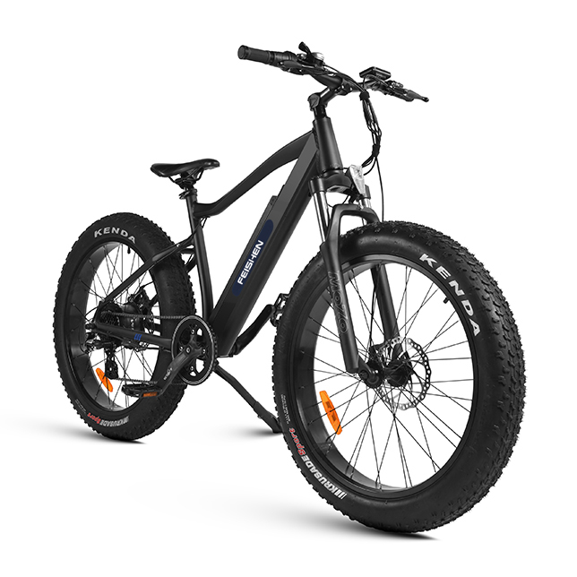 E-Bikes (FB-C1)