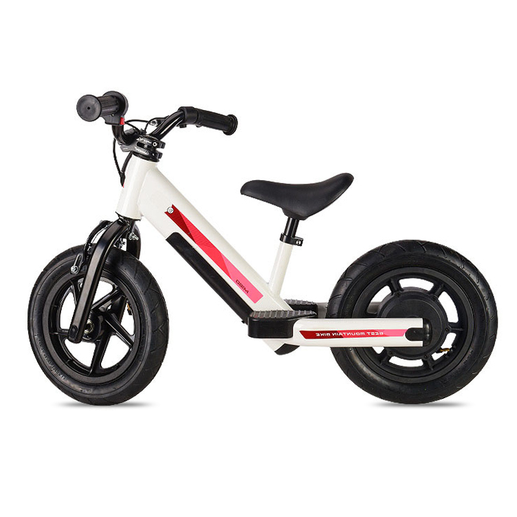 E-Scooter (FN-A1)