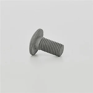 GUARDRAIL  BOLTS