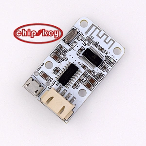 Mini Wireless Speaker / Digital Amplifier Board / USB Powered Wireless Receive Digital Amplifier Module