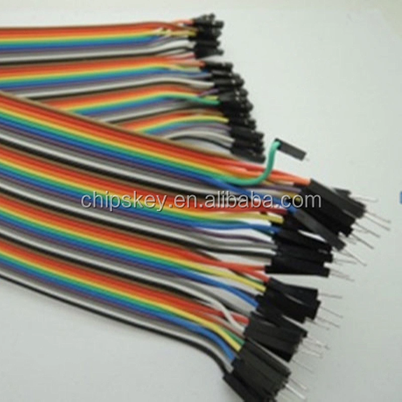 30CM Rainbow Cable 40P Male to Female