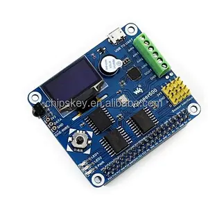 Pioneer600, Raspberry Pi Expansion Board