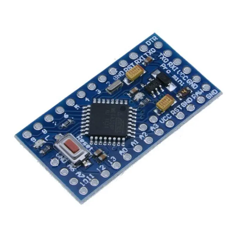 Chipskey Neutral Without LOGO Pro Mini 5V/3.3V For Arduinos