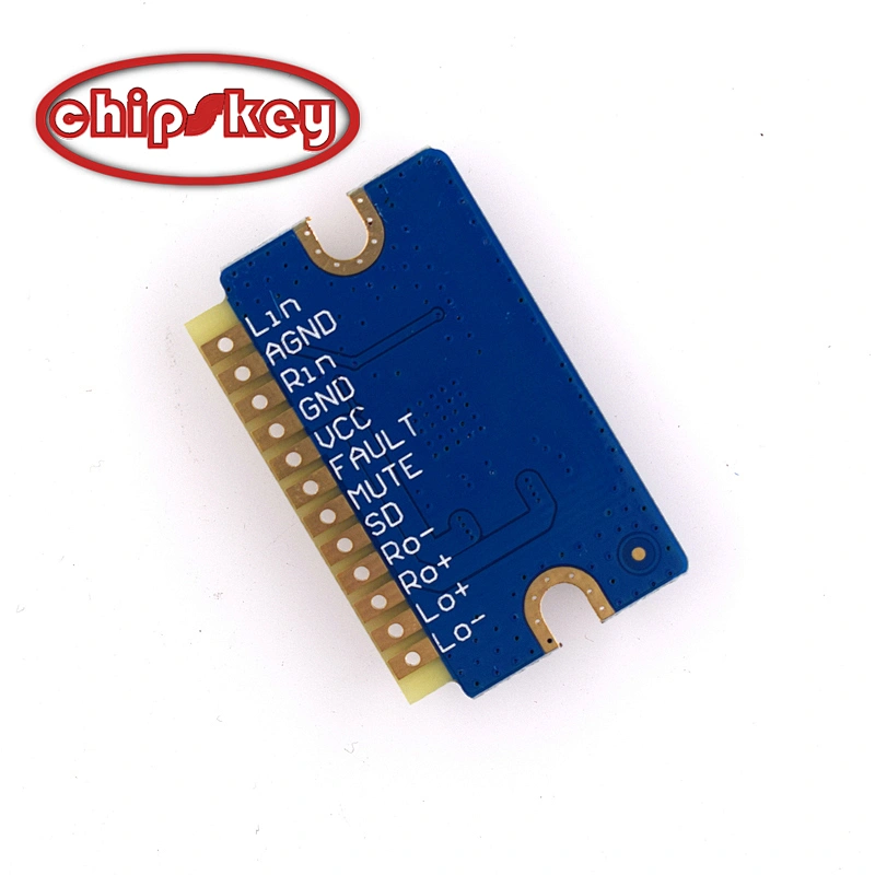 YL2020 20W+20W Class D Digital Power Amplifier Board 12V-24V Mini Power Amplifier Module