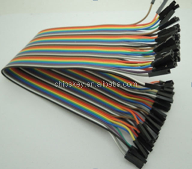 30CM Rainbow Cable 40P Female to Female