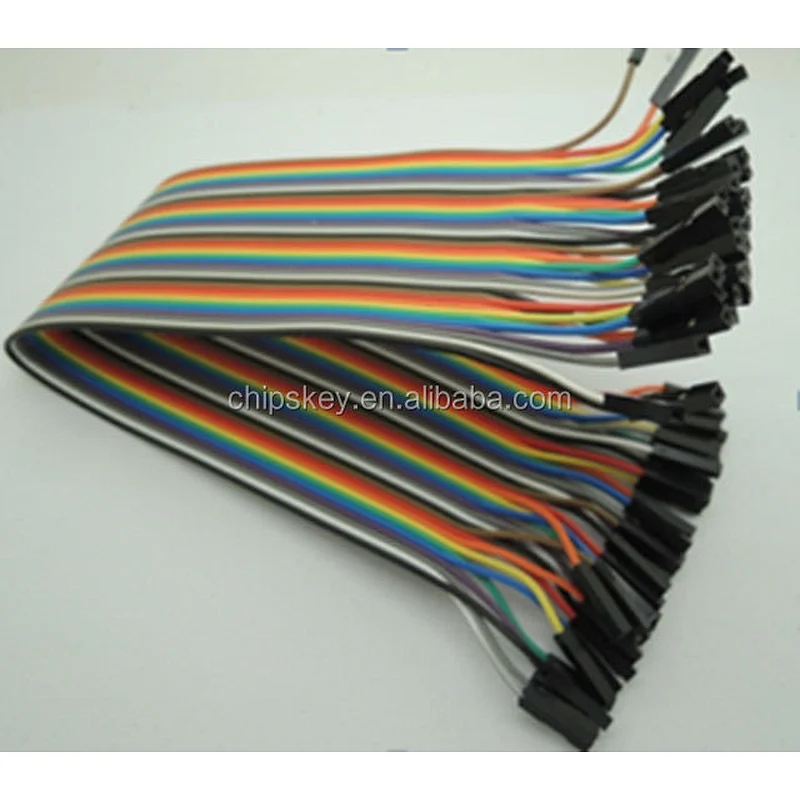 30CM Rainbow Cable 40P Female to Female