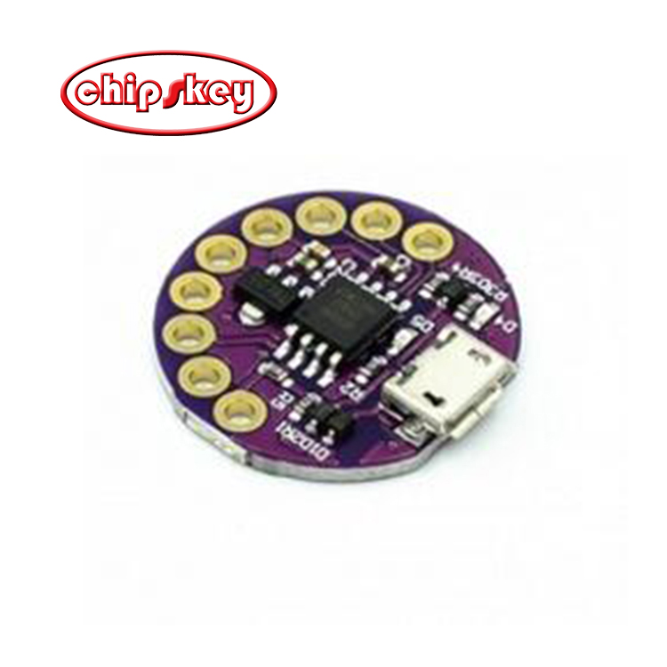 LilyPad LilyTiny